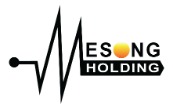 Mesong Holding